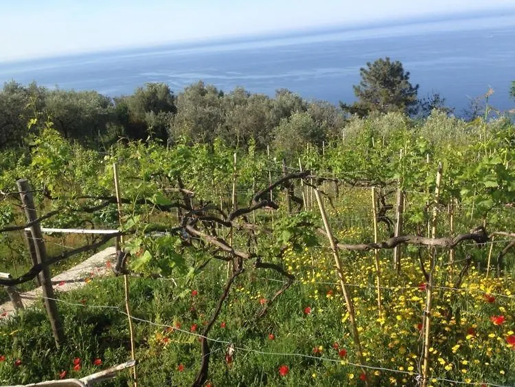 Il Nettare Agriturismo Riomaggiore 0*,  Italy