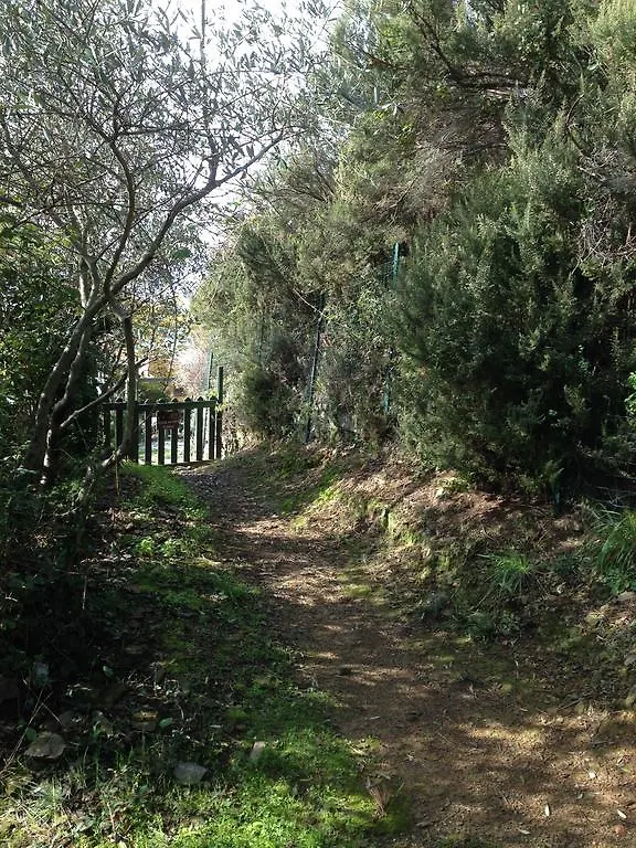Il Nettare Agriturismo Riomaggiore Farm stay