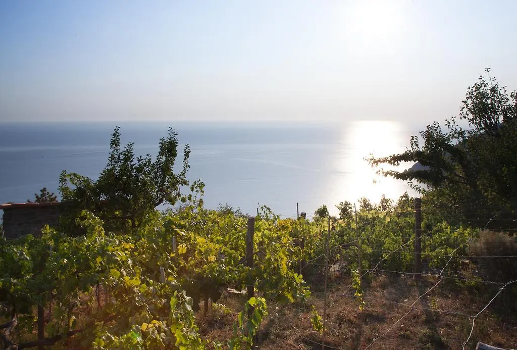 Farm stay Il Nettare Agriturismo Riomaggiore Italy