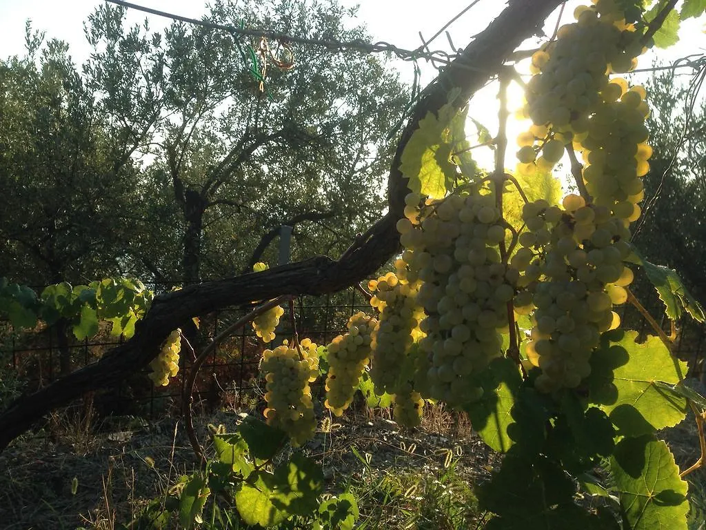 Il Nettare Agriturismo Riomaggiore Farm stay