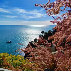 Maison Exotique - / Cinque Terre / Travel Riomaggiore