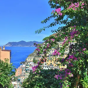 Semesterbostad 5 Terre For, Riomaggiore